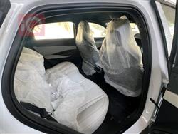 بی وای دی سيل 06 DM-i